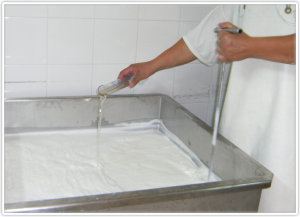 lavorarazione della mozzarella: aggiunta caglio