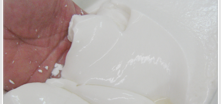 latte cagliato nella lavorazione della mozzarella
