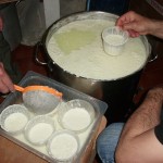 Ricotta fatta in casa